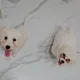 부산