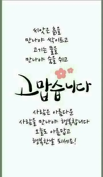 수이삐69성환동