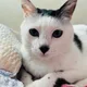 별이엄마