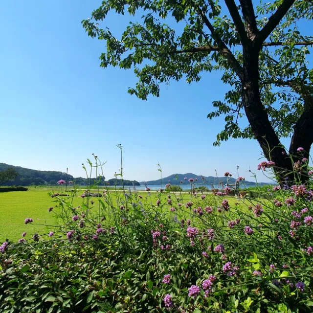 처음처럼