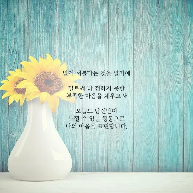시그너스