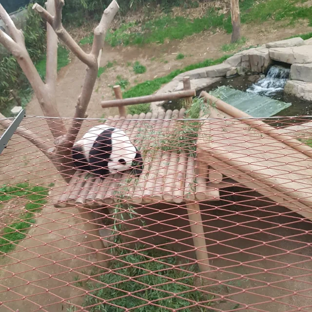 하임