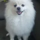 콩이맘