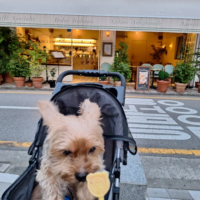방울이