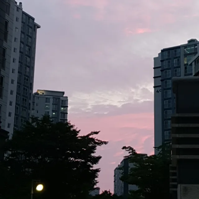 당파파