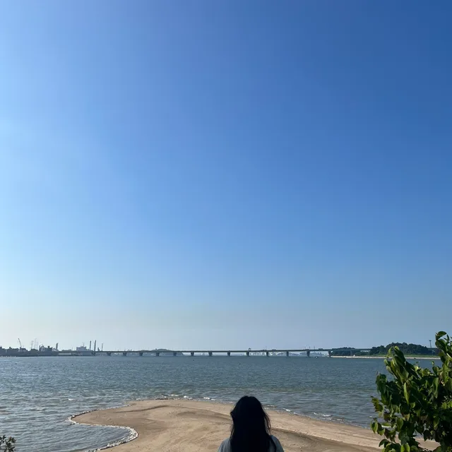 당근당근나야나