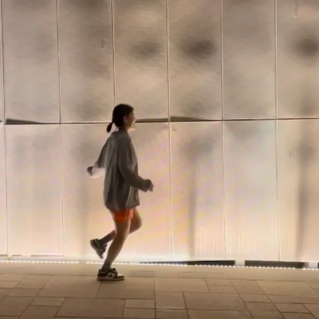 리파