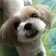 쏘제