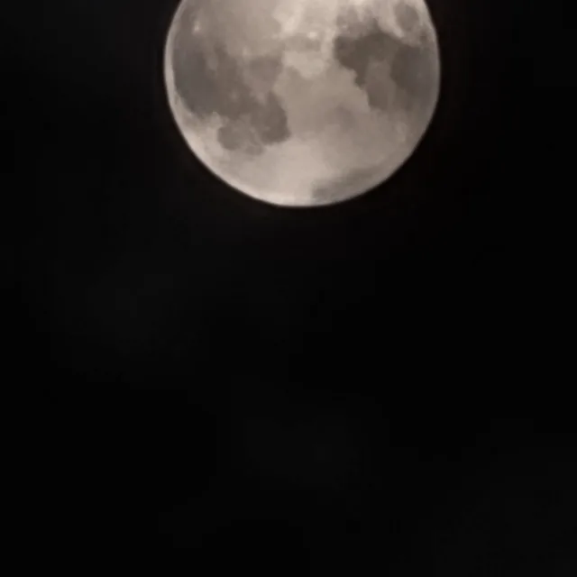 동숭지박