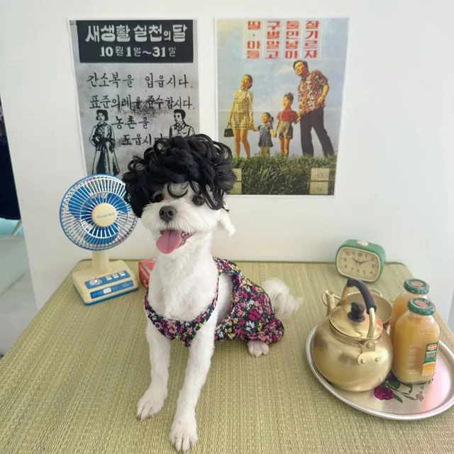 흐러허