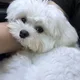 땅콩파더