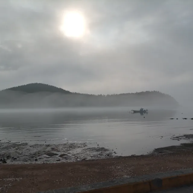 해피데이