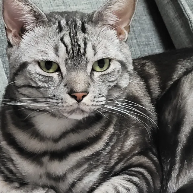보리꽁치맘