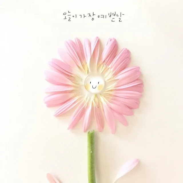 노마드지호뉴트리라이트