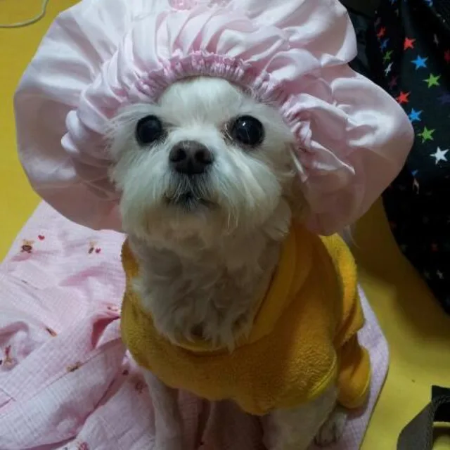 마르티쥬