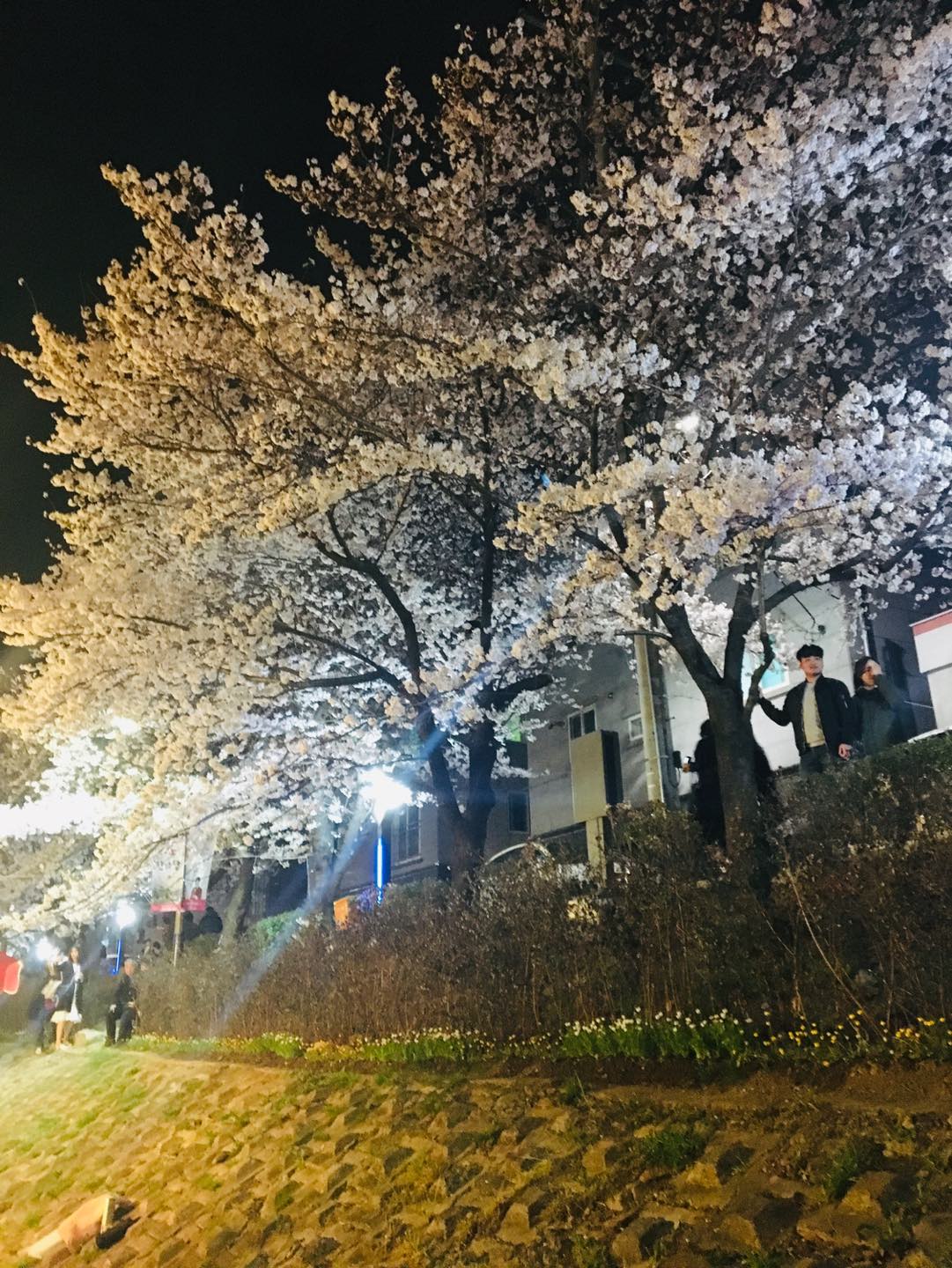 에오