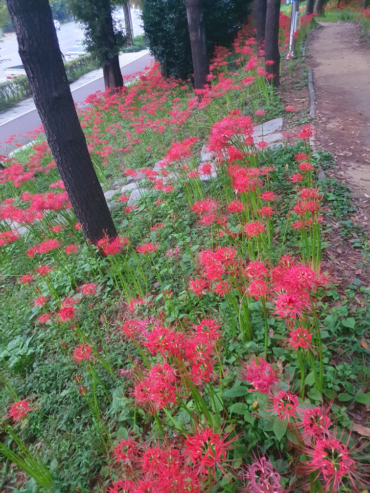 좋은거래해요