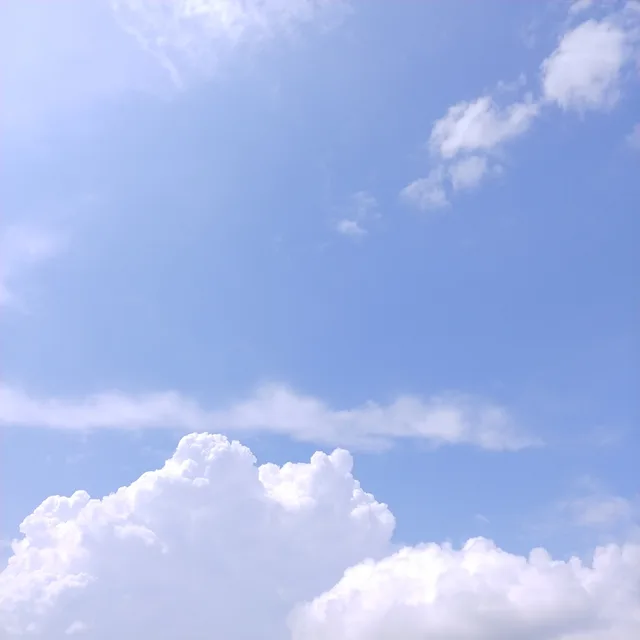 코푸