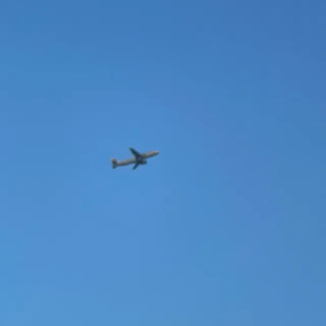 그림자