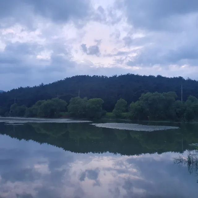 심플하게
