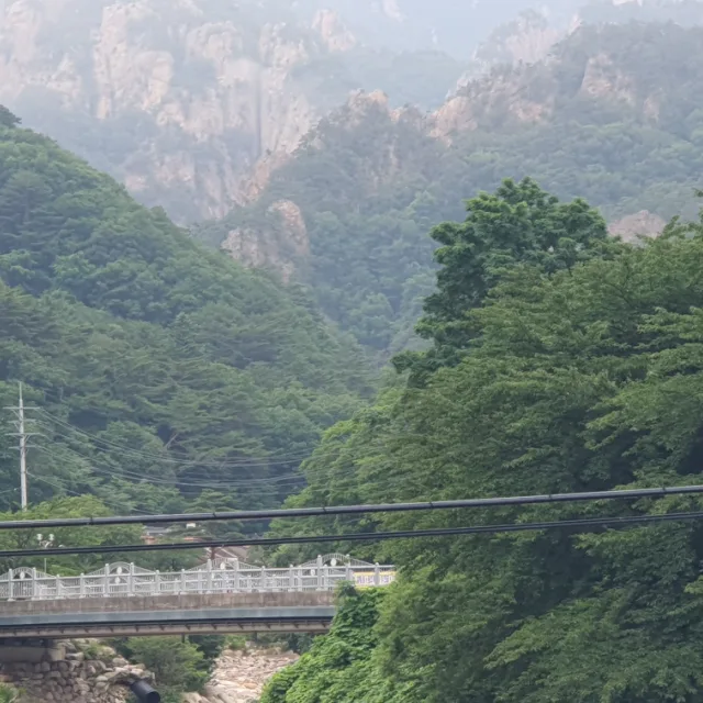 오로라