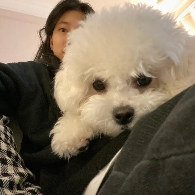 해삐