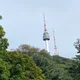 당근이요