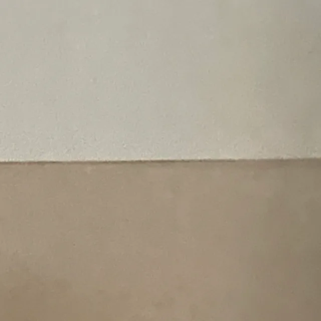 몰리뀽