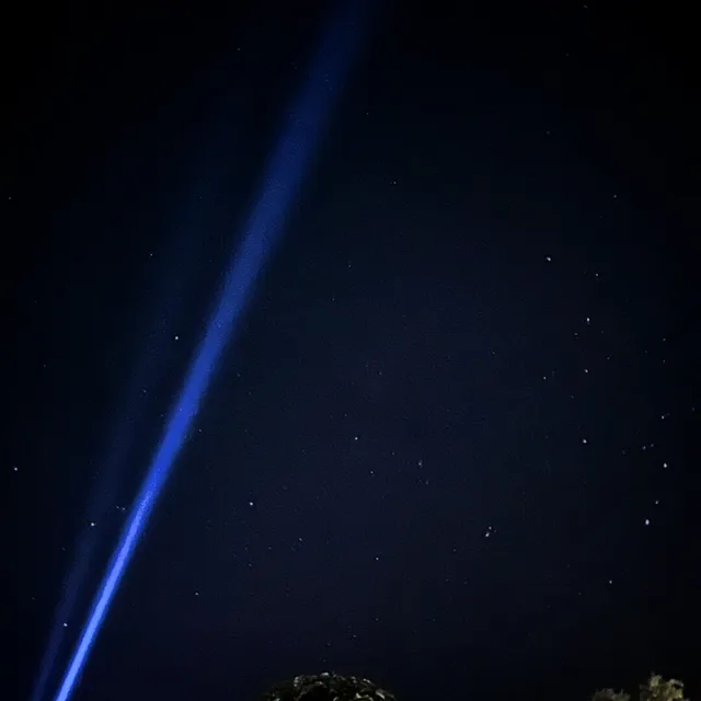 욜로