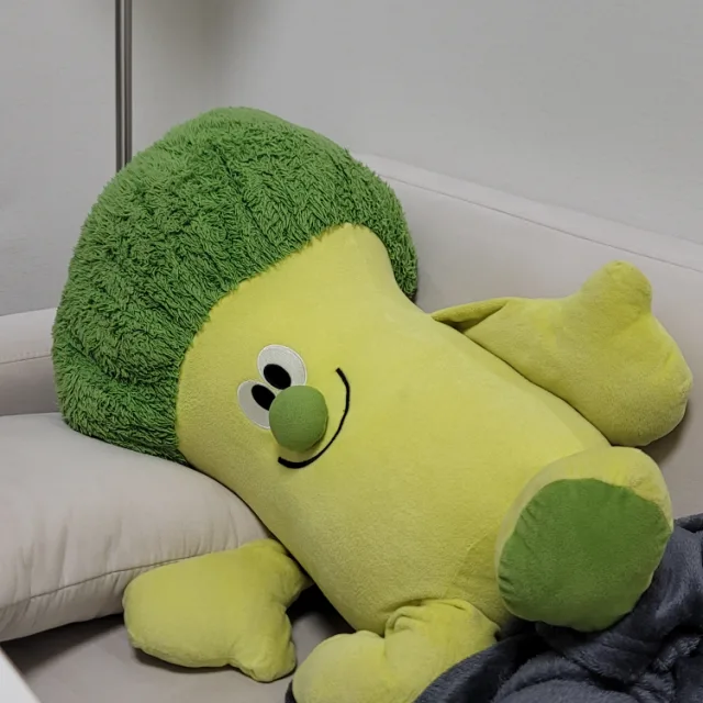 콜리콜리