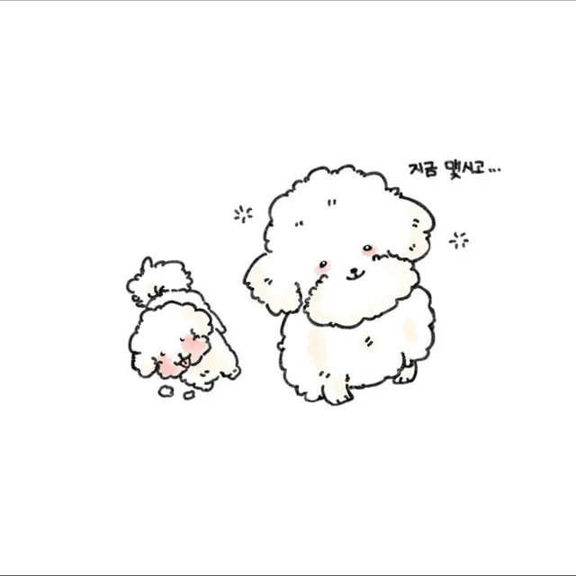 뽀글뽀글
