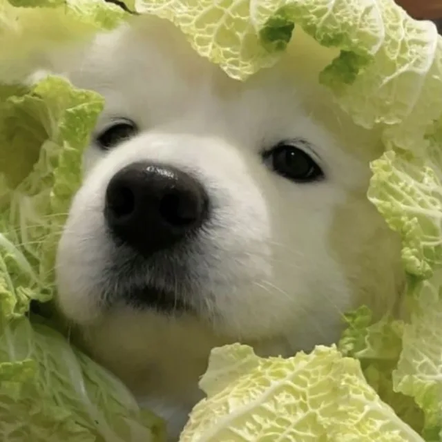 슬레이어즈