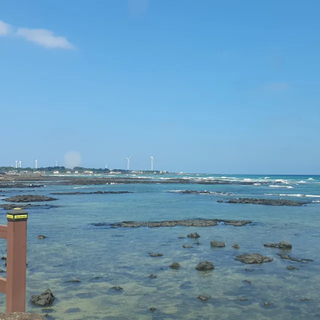 바람불면날지