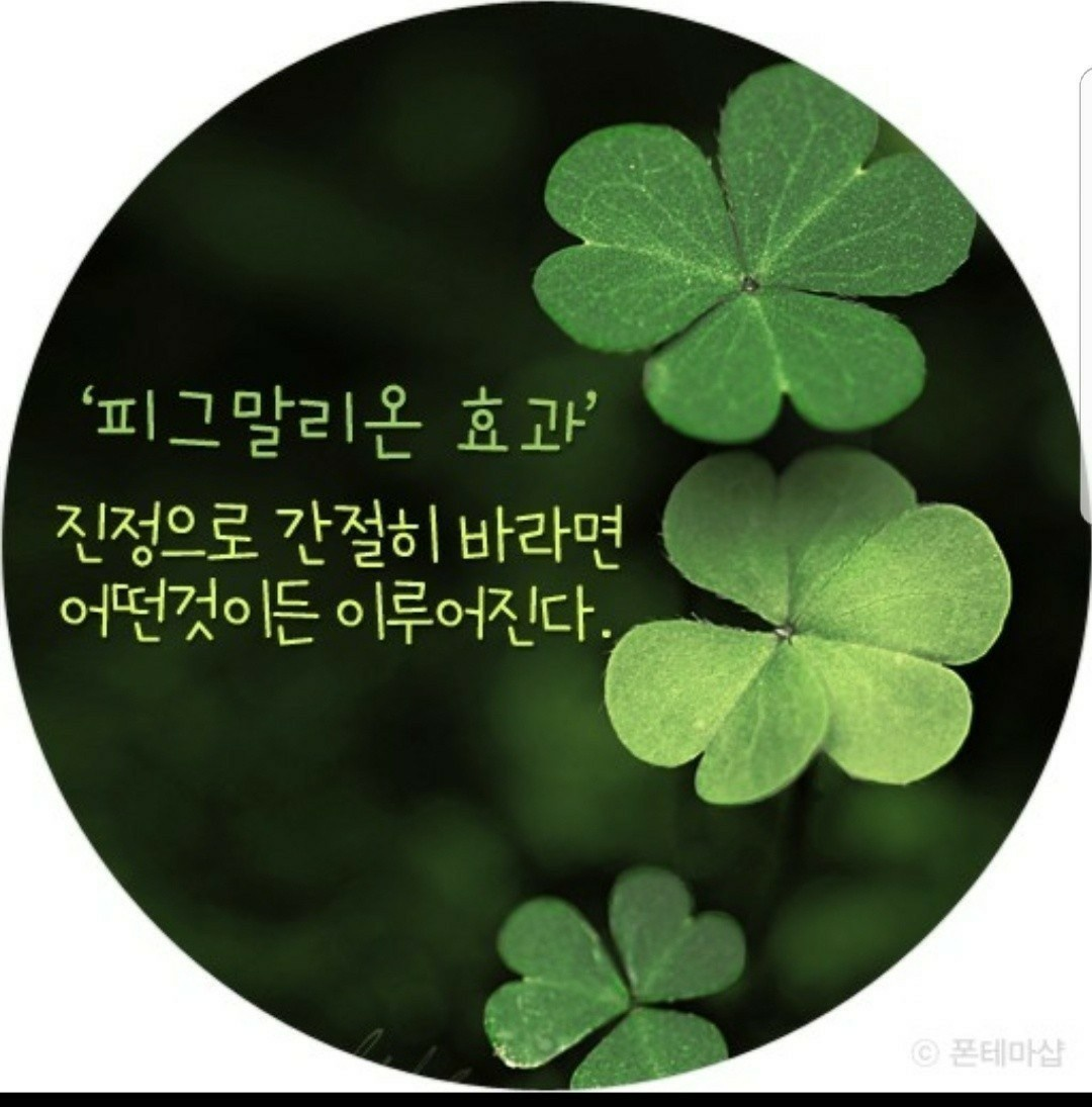 하이클리어