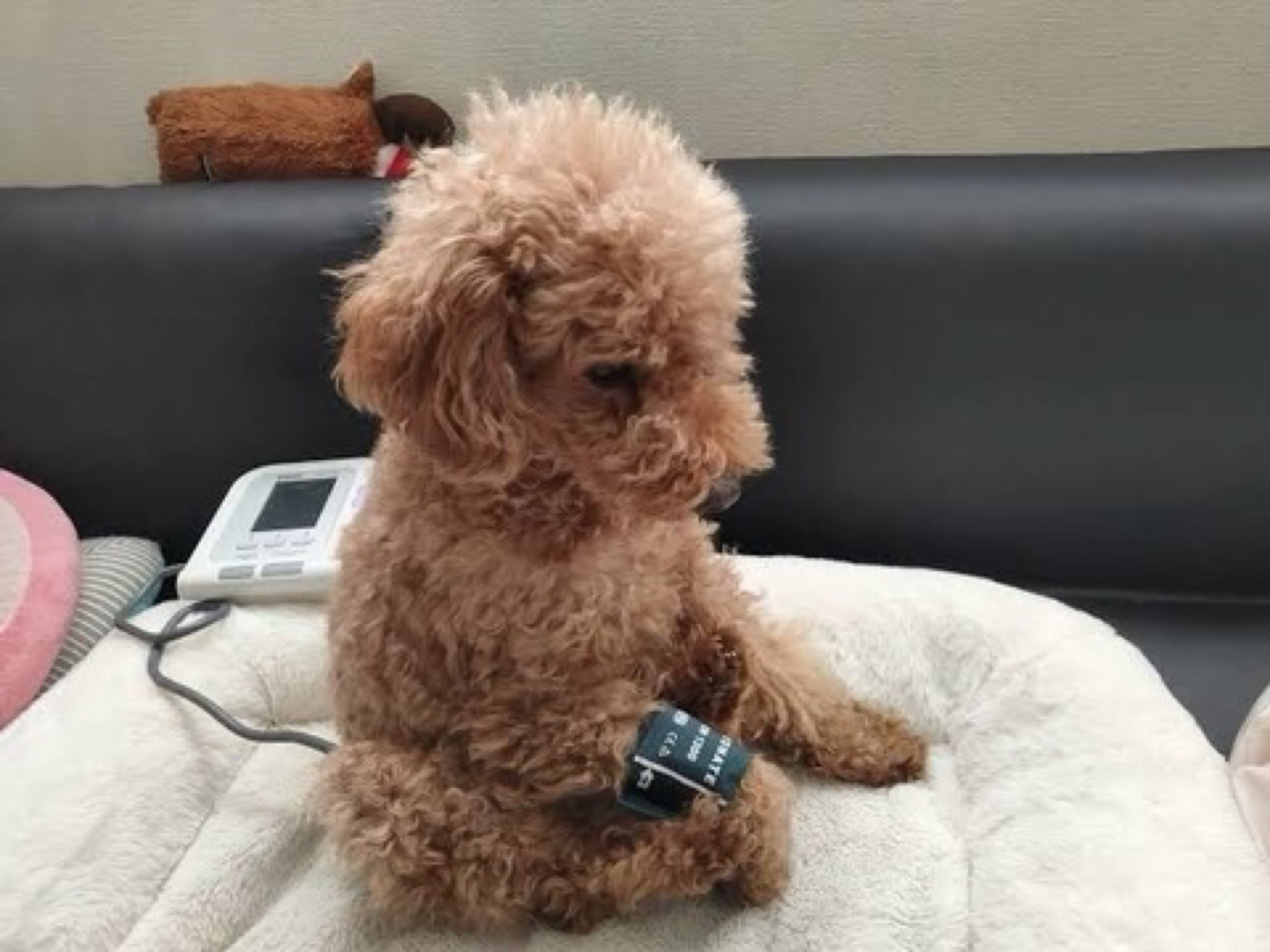 하위