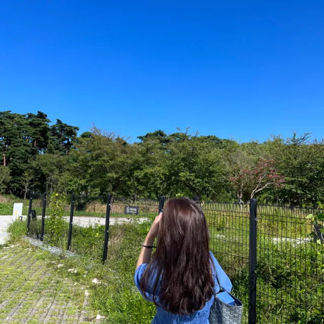 예뻐