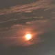 자연