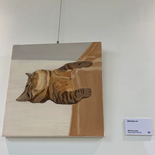 제리젤리