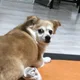 쏘쏘끼끼