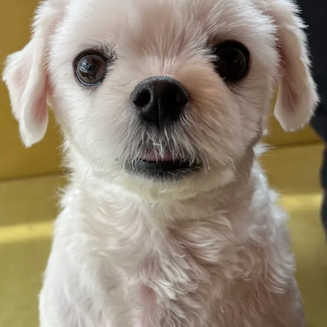 당근찾아