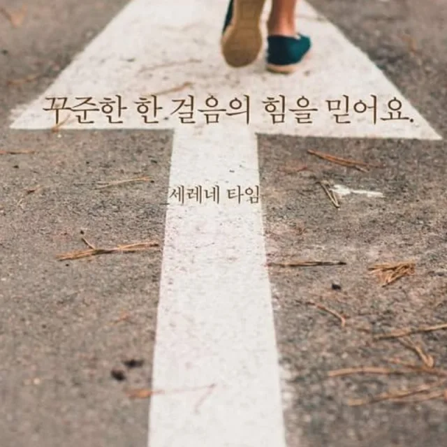브라보