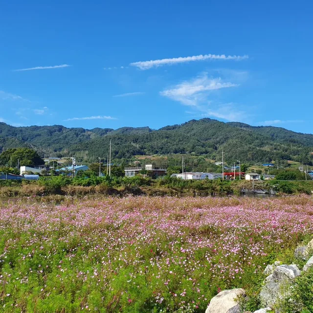 달려랏