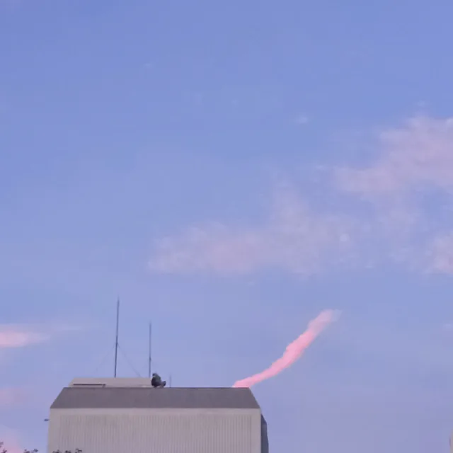 제주댁