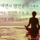 평정심