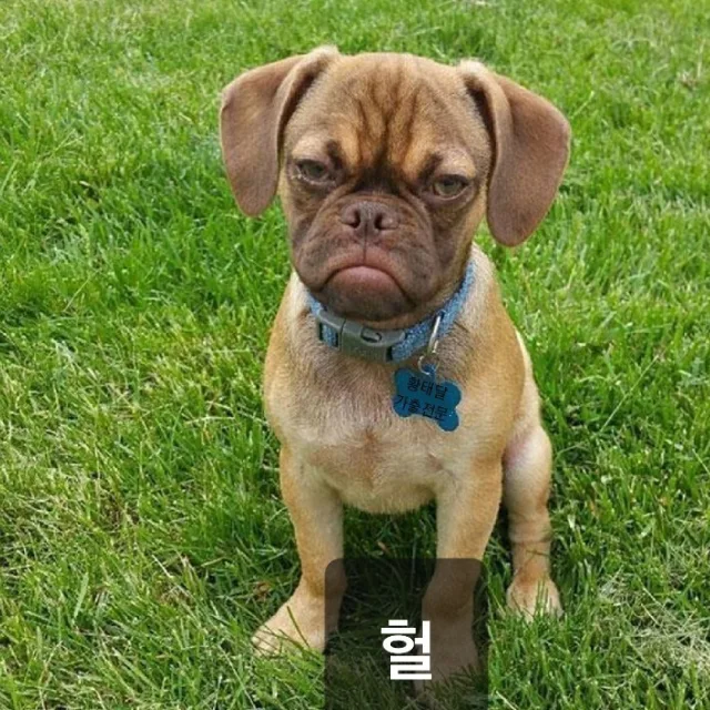 대한민국