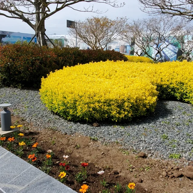 핑클