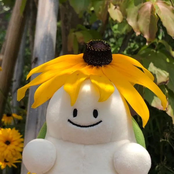 두두랑