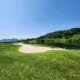 파파고니