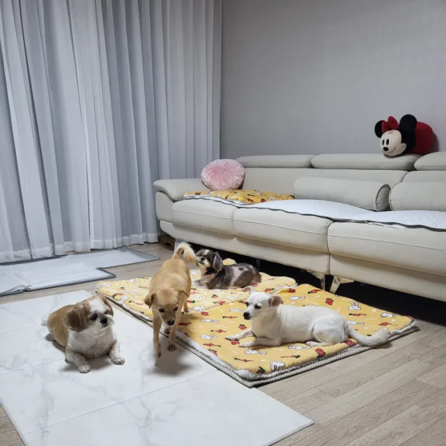 오둥이네
