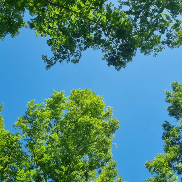 greenlife5